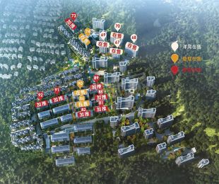 平面图