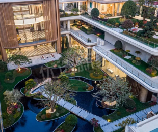 实景图