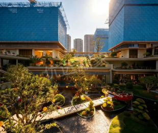 实景图