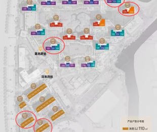 平面图