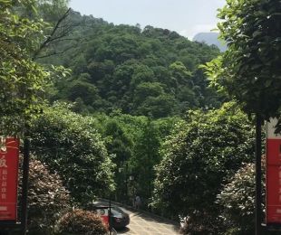 实景图