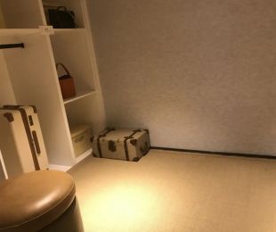样板图