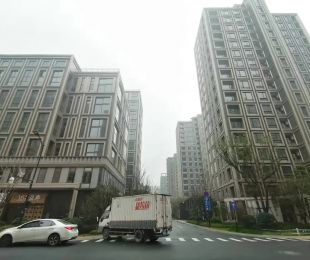 实景图