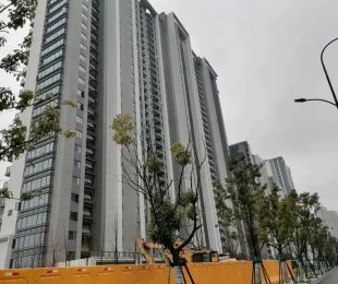 样板图