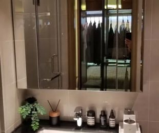 效果图