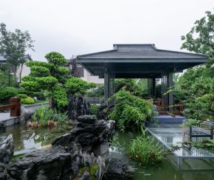 实景图
