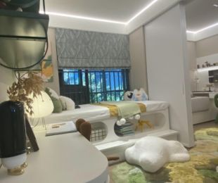样板图