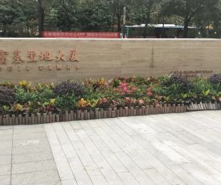 实景图