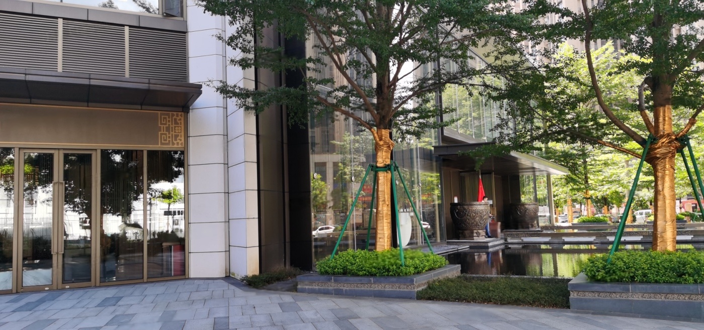 实景图