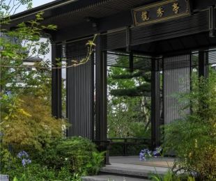 实景图