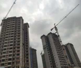 实景图