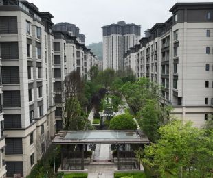 实景图